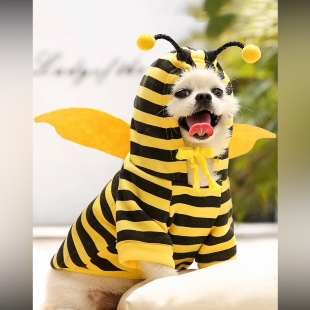 ✅ cute pet costumes✅